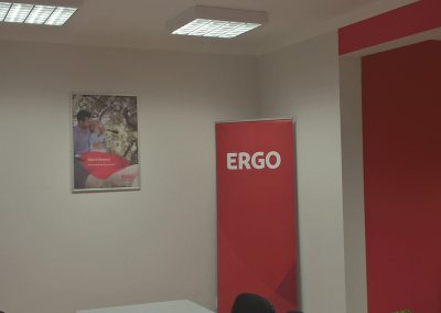 ergo-pojistovna